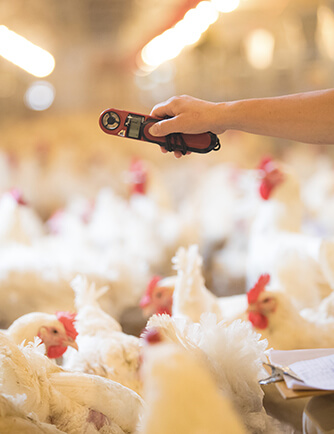 J9集团直营·(中国)官方网站