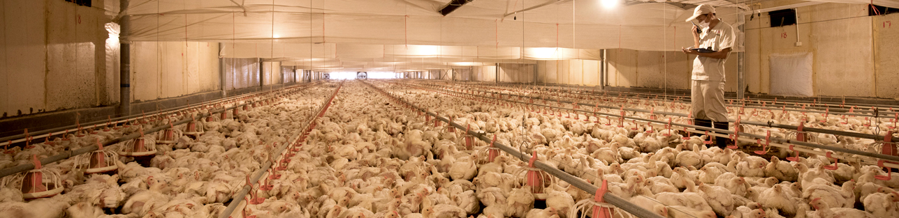 J9集团直营·(中国)官方网站