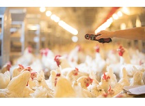 J9集团直营·(中国)官方网站