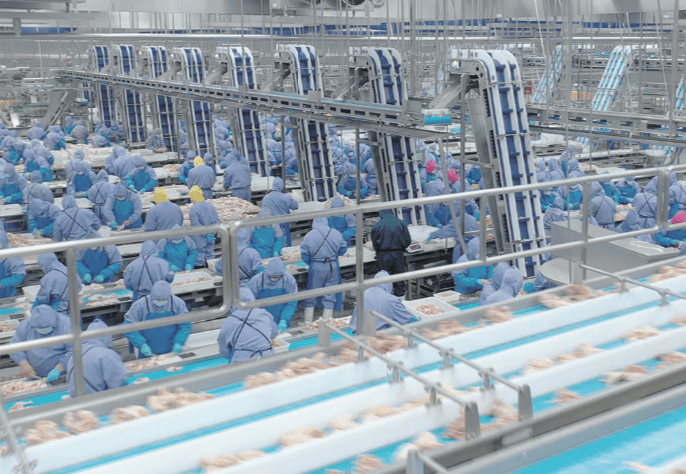 J9集团直营·(中国)官方网站