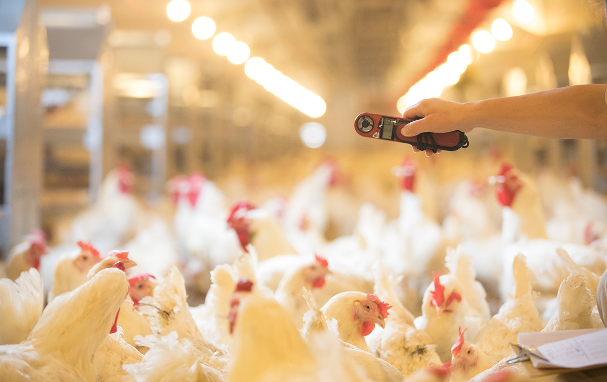 J9集团直营·(中国)官方网站