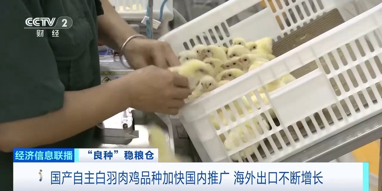 20260408094220_95222 J9集团直营·(中国)官方网站