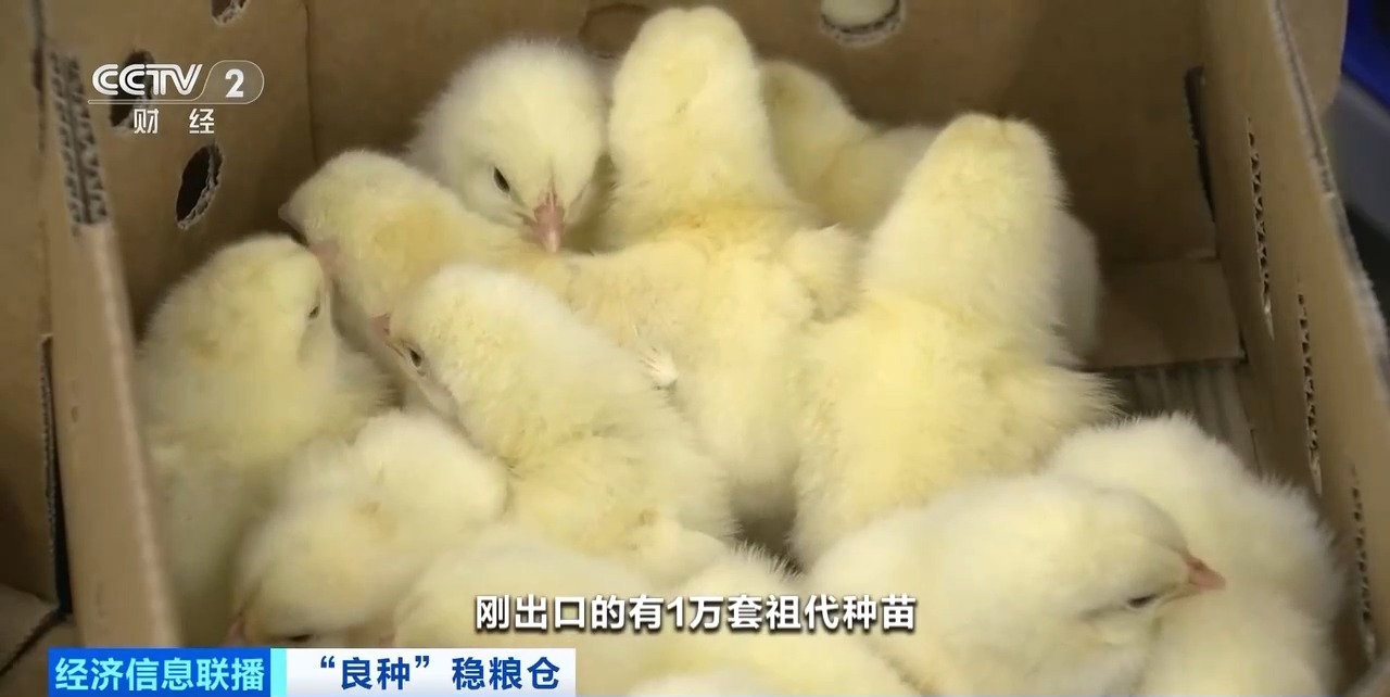 20260408094234_86644 J9集团直营·(中国)官方网站